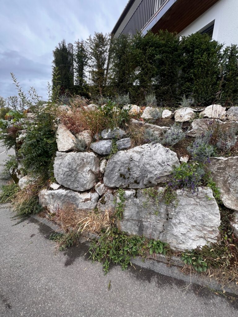 Zyklopensteinmauer bestand, Natursteinmauer bepflanzt